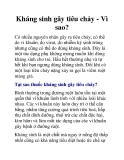 Kháng sinh gây tiêu chảy - Vì sao?