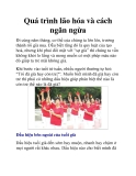 Quá trình lão hóa và cách ngăn ngừa