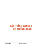 LAÄP TRÌNH WINCC CHO HEÄ THOÁNG SCADA

Provina technology ltd.

148Bis Nam Kyø Khôûi Nghóa,