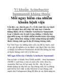 Vi khuẩn Acinebacter baumannii kháng thuốc