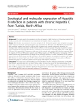 Báo cáo y học: "Serological and molecular expression of Hepatitis B infection in patients with chronic Hepatitis C from Tunisia, North Africa"