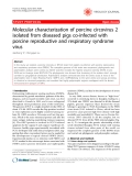 Báo cáo y học: " Molecular characterization of porcine circovirus 2 isolated from diseased pigs co-infected with porcine reproductive and respiratory syndrome virus"