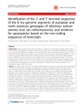 Báo cáo y học: "Identification of the 3’ and 5’ terminal sequences of the 8 rna genome segments of european and north american genotypes of infectious salmon anemia virus (an orthomyxovirus) and evidence for quasispecies based on the non-coding sequences of transcripts"