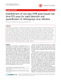 Báo cáo khoa học: " Establishment of one-step SYBR green-based real time-PCR assay for rapid detection and quantification of chikungunya virus infection"