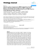 Báo cáo khoa học: "Infectious salmon anaemia virus (ISAV) isolated from the ISA disease outbreaks in Chile diverged from ISAV isolates from Norway around 1996 and was disseminated around 2005, based on surface glycoprotein gene sequences"