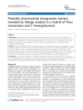 báo cáo khoa học: "  Potential chromosomal introgression barriers revealed by linkage analysis in a hybrid of Pinus massoniana and P. hwangshanensis"