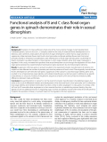 báo cáo khoa học: " Functional analysis of B and C class floral organ genes in spinach demonstrates their role in sexual dimorphism"