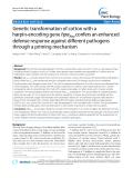 báo cáo khoa học: " Genetic transformation of cotton with a harpin-encoding gene hpaXoo confers an enhanced defense response against different pathogens through a priming mechanism"