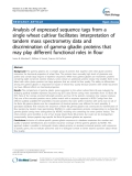 báo cáo khoa học: " Analysis of expressed sequence tags from a single wheat cultivar facilitates interpretation of tandem mass spectrometry data and discrimination of gamma gliadin proteins that may play different functional roles in flour"