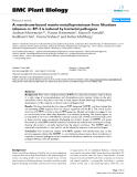 báo cáo khoa học: "  A membrane-bound matrix-metalloproteinase from Nicotiana tabacum cv. BY-2 is induced by bacterial pathogens"