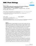 báo cáo khoa học: "  Tissue culture-induced transpositional activity of mPing is correlated with cytosine methylation in rice"