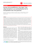 Báo cáo y học: " Human immunodeficiency virus type 1 Vpr: oligomerization is an essential feature for its incorporation into virus particles"