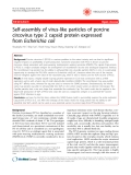 Báo cáo y học: " Self-assembly of virus-like particles of porcine circovirus type 2 capsid protein expressed from Escherichia coli"