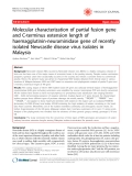 Báo cáo y học: "   Molecular characterization of partial fusion gene and C-terminus extension length of haemagglutinin-neuraminidase gene of recently isolated Newcastle disease virus isolates in Malaysia"