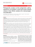 Báo cáo y học: " Phylogenetic analyses of the polyprotein coding sequences of serotype O foot-and-mouth disease viruses in East Africa: evidence for interserotypic recombination"