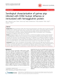 Báo cáo y học: "Serological characterization of guinea pigs infected with H3N2 human influenza or immunized with hemagglutinin protein"