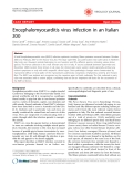 Báo cáo y học: "Encephalomyocarditis virus infection in an Italian zoo"