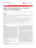 Báo cáo y học: "Keratin 18 phosphorylation as a progression marker of chronic hepatitis B"