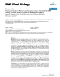 báo cáo khoa học: "  Characterization of expressed sequence tags obtained by SSH during somatic embryogenesis in Cichorium intybus L"