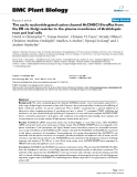 báo cáo khoa học: "  The cyclic nucleotide gated cation channel AtCNGC10 traffics from the ER via Golgi vesicles to the plasma membrane of Arabidopsis root and leaf cells"