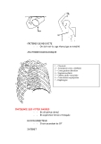 Techniques de manipulations en radiologie medicale - part 7