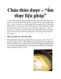 Cháo thảo dược – “ẩm thực liệu pháp”