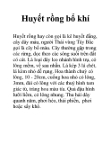 Huyết rồng bổ khí