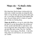 Nhựa cây - Vị thuốc chữa bệnh