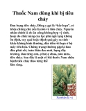 Thuốc Nam dùng khi bị tiêu chảy
