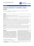 Báo cáo hóa học: "Genomic aberrations in borderline ovarian tumors"