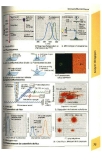 Atlas de poche d immunologie -  part 4