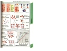 Atlas de poche d immunologie -  part 5