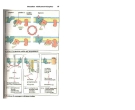 Atlas de poche pharmacologie - part 3