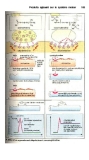 Atlas de poche pharmacologie - part 6