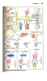 Atlas de poche pharmacologie - part 8