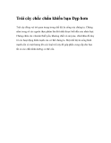 Trái cây chắc chắn khiến bạn