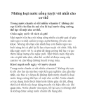 Những loại nước uống tuyệt vời nhất cho cơ thể
