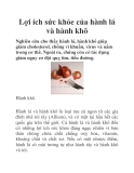 Lợi ích sức khỏe của hành lá và hành khô