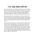 Các nếp nhăn tuổi tác