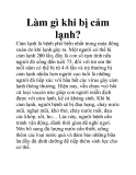 Làm gì khi bị cảm lạnh?