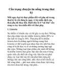 Cẩn trọng chuyện ăn uống trong thai kỳ