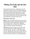 Những yếu tố gây hại cho bào thai