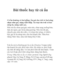 Bài thuốc hay từ củ ấu
