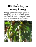 Bài thuốc hay từ mướp hương
