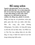 Bổ sung selen