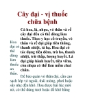 Cây đại - vị thuốc chữa bệnh