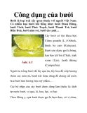 Công dụng của bưởi