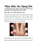 Mẹo nhỏ, tác dụng lớn