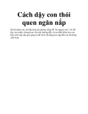 Cách dậy con thói quen ngăn nắp