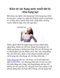Kiên trì súc họng nước muối khi bị viêm họng hạt